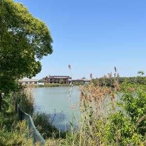 �S�ģ����uë��Ƥ���Q���L������