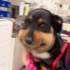 ������L�����I�ց���