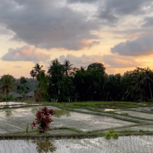 ҕ�l����ˮ�������������~