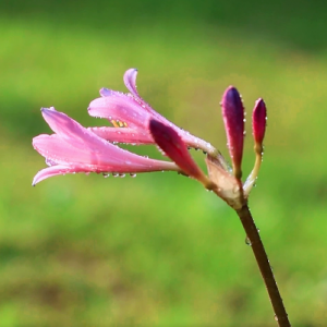 �����S�ģ����_�o�ԣ��~����D