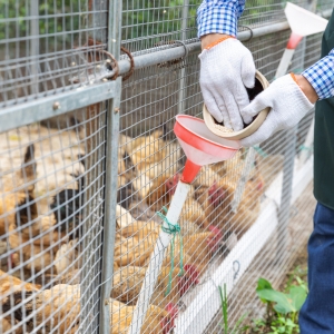 �������������D�����l�����u�����������S�B�ˣ�������Ҳ�@�ӆ᣿