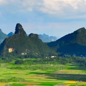 ������׷�L�s��Īͣ����ƽʏ�M̎����ɽ