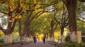 ���l(f��)�����i���CITY WALK���ι��@