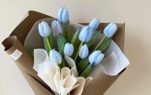 ���绨�������㣡�����ֵ�o���԰�