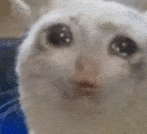 �x�_��ԭ��λ�Űl�F�Լ��B��ƨ������~