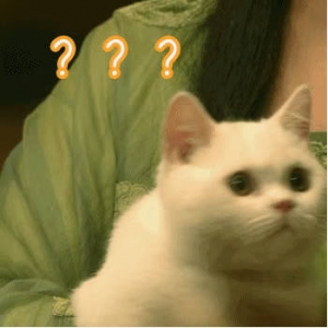 ׌�Ҹе��z�����£����FΨ���]��ֱͨ�K�ݣ�̫���o����