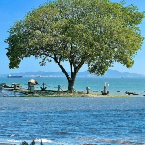 �W(w��ng)�ѷ�����ȥ��߅�ɣ������w������ȥ߀�ܸ�����������...