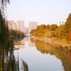 �S�ģ����Գ��S�ľ�ɫ�r���p��(ji��)���Ąӣ�