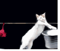 �҂����������ʽ�˿��E�p���F�����Ҳ�U�п��ģ�����...