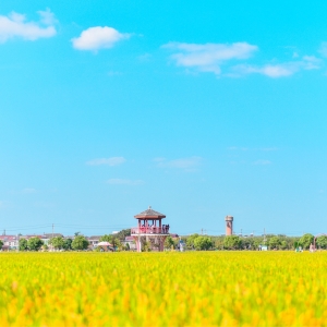 �r�������S�ģ����g�����㣬��ᷲ���ģ�