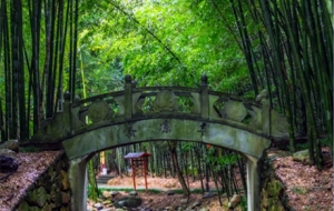 ����ҒϪ����̤�ŵ�������ǧ��ńx�ĶU�����h