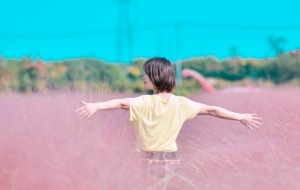 ����ƻã�������һ�N���з���