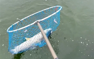 �p��Ұ�L����឴��~���������������