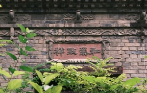 ̽�L��ɽ��լ�����ܻĲ݅����o�˾�ס