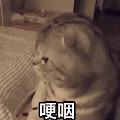 00��ţ���ϰ���k���ң��՘ӵ��c�°ֻ࣬���҂��@����������߀���b��