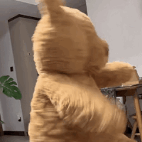 �l�l���}��С�����I׌�����ۣ�ÿ��M�ıM���o���ɿ�ֻ���е�