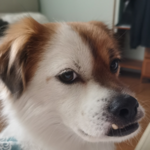 �B(y��ng)�ăɗl���ɂ�؈��ϲ�g�ā��������c(di��n)��ٝٝ