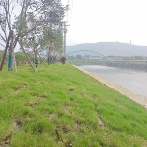 �쿴������@�n��