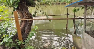 �֙C�Ĕzӛ�����˲�g��С���ӝ�ˮ����