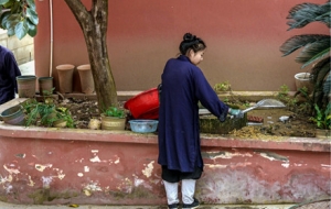 �򿨼��ȵľ�ɽ�ŏR����M���Ěvʷ��Ϣ