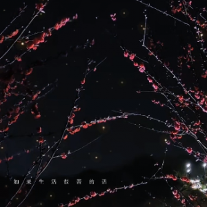 �S�ģ�����ܿ��Ԓ���Ǿ���������ĉ��ɣ�