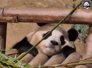 ����ɽ�󣡺��ӌW(xu��)�I(y��)�ص�?j��ng)]�Еr�g�棬߀Ҫ�ϸ��N�dȤ��