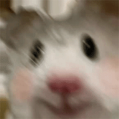 �F(xi��n)�����p�˶�ӑ�����О飡�e��(g��)������������ȥ