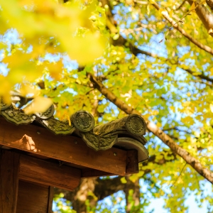 ����Ѕ^������ԓ��y���~�ӣ������~�����ֹ��ͽo�������յ��ϋ�