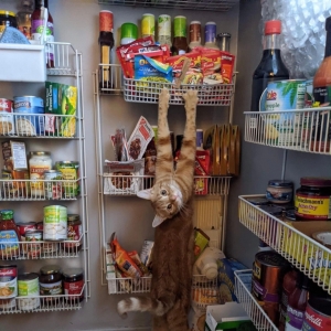 ؈؈������׌���������l�Ĵ����ڿ��҂���~