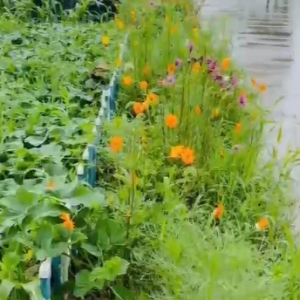 �꼾�S�ģ����ϟo(w��)��������ٛ(z��ng)һҹ��