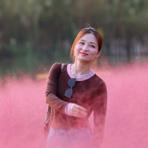 �zӰ����һ�N���з���y�Ӳ������@��(g��)����(ji��)�������ڴ�