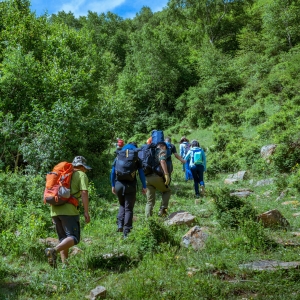  �f��ɽ�L(f��ng)�����e����ȥ�����ˣ������Ǐ�����ɽ�ģ�܇ͣ���ģ�