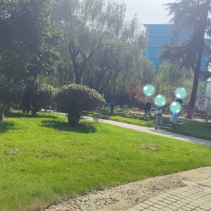 ����������ô��߅�����D(zhu��n)��С�������������߅���Ѓ�̎��������...