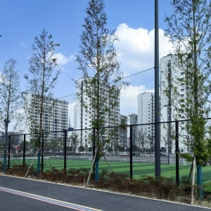 �����\(y��n)�ӹ��@�Ǳ������M(f��i)�����Ҳ�_ʼ���M(f��i)�ˣ����X�ǂ������ҪȦ����