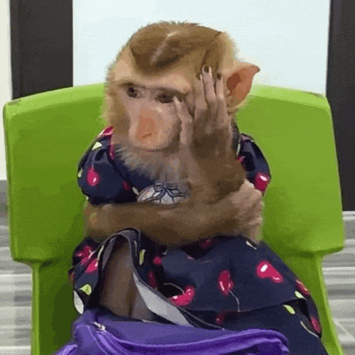 ���˷��¹��������l(f��)�F(xi��n)��nɶҲ����߀�����΄�(w��)�o�ң��@�N������߀������