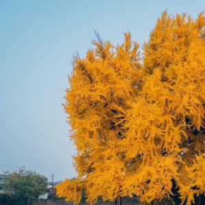 �W�ѷ������S����һ����~�������@һ������