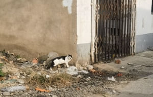 ��ꎱ���ֹ������ҵĻؑ��������ف팍����һ��ӛ�һ��