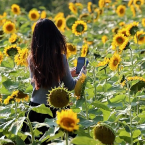 ����zӰ��Ը�҂������տ����h׷��ꖹ⣡