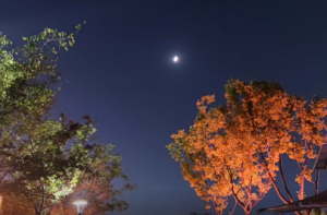 ҹ���S�ģ��о��L��۔nȫ�ǟ���