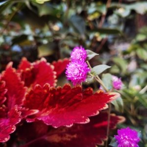 �S�ģ��Иs�пݲ��ǚq�µ��ֹP������Ҳ��