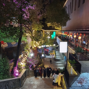 ����ҹ���S�ģ����t�ƾG�����x���A