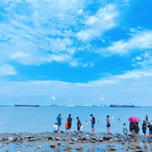 ���Ҹ۴��������һƬ�������պܳ�Ƭ���������ĵ���Ƭ