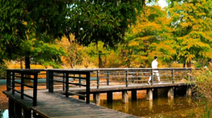 ӛ�����r(sh��)�̣����ÞV�RҲ����