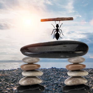 ���Ђ�ͬ�¹�����Ŭ����һ����֪���Ѓɂ��������x˽�����y���ˣ�