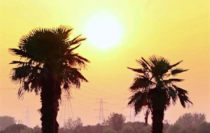 İ�ϻ����_�������ɫ������