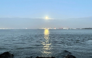 �S�Ľ�ꎣ������L��߅ÿһ̎���^