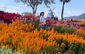 �򿨽���5�󾰅^���L���������F�\��