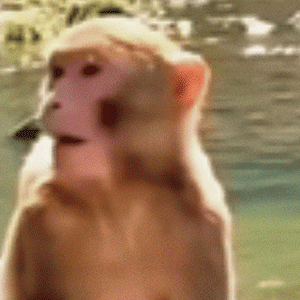 �f���Ԓ�����ȥ�Ϻ��ĸ��F����Ĳ��ܽи��F...