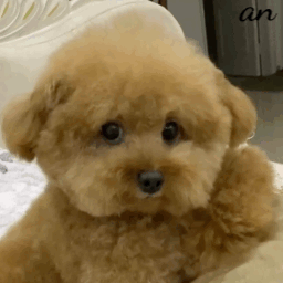 ����î�����ÿ������˯�����X��������