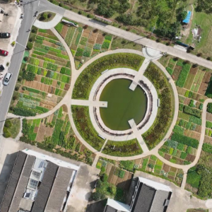 ������ˣ������n���l�壡